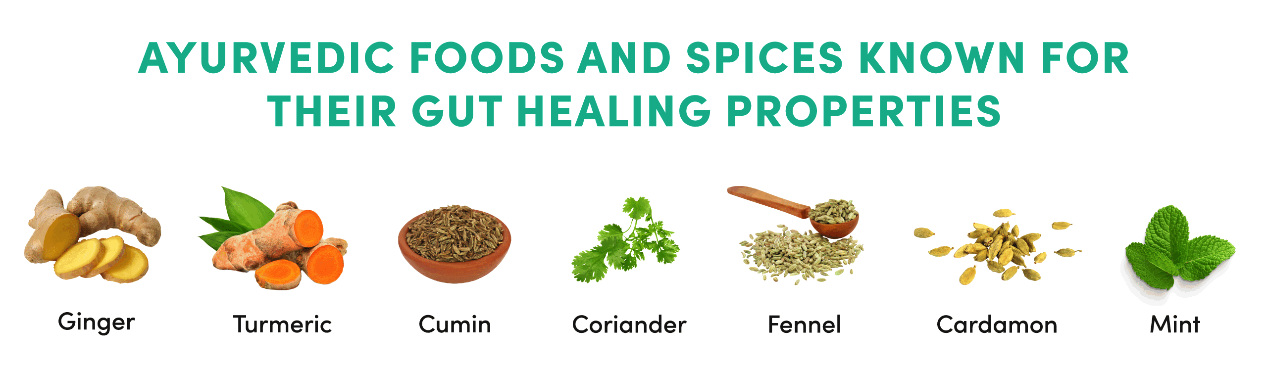 Ayurvedic foods and spices for gut healing